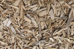 biomass boilers Pidney